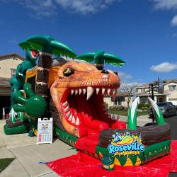 DC4 1738005290.JPG Dinosaur 3-D Bounce House W/Slide